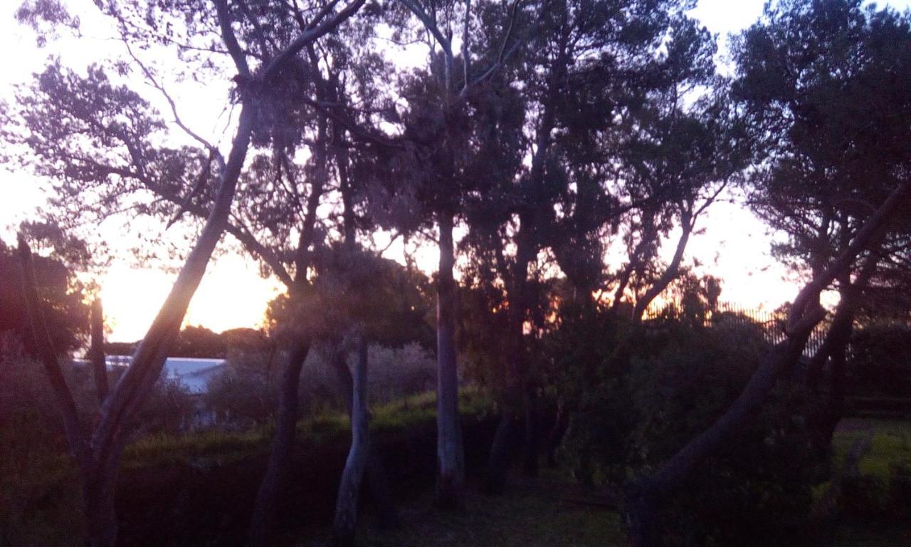 Villa Morgante B&B Pedara Kültér fotó