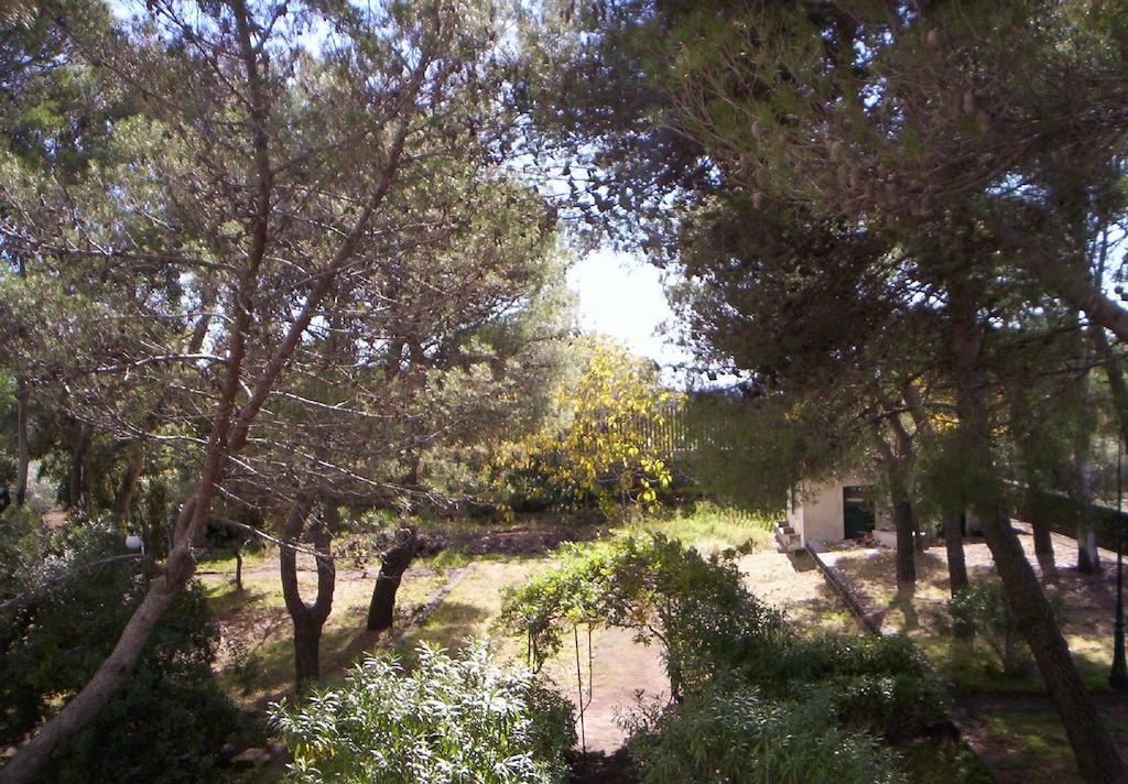 Villa Morgante B&B Pedara Kültér fotó