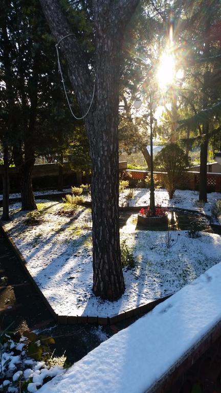 Villa Morgante B&B Pedara Kültér fotó