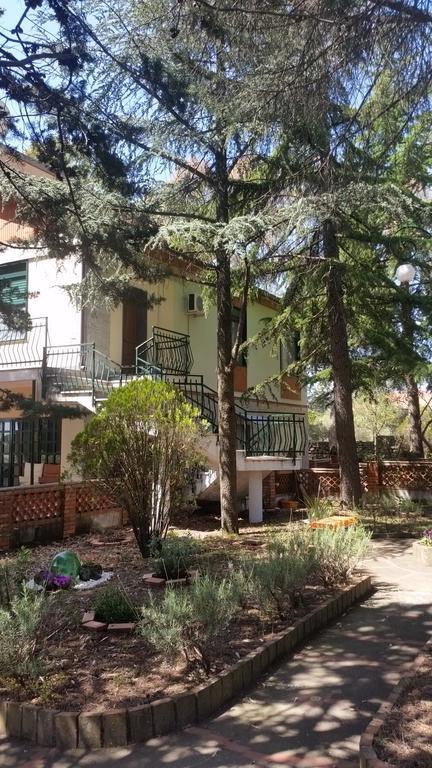 Villa Morgante B&B Pedara Kültér fotó