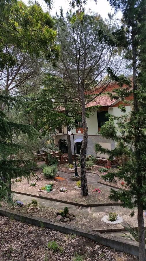 Villa Morgante B&B Pedara Kültér fotó