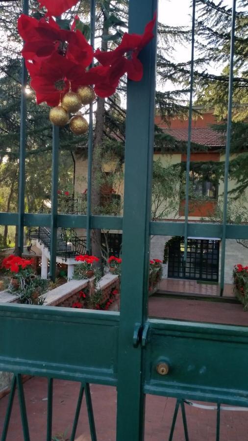Villa Morgante B&B Pedara Kültér fotó